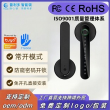 跨境外贸智能指纹把手锁涂鸦蓝牙室内执手TTLOCK木门一握开智能锁