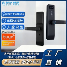 跨境专供室内门锁涂鸦app人脸识别一握开指纹密码智能门锁电子锁