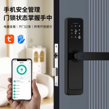 外贸热销涂鸦智能门锁室内木门电子密码锁酒店办公公寓门远程指纹